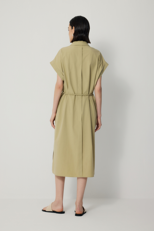 color:AVOCADO