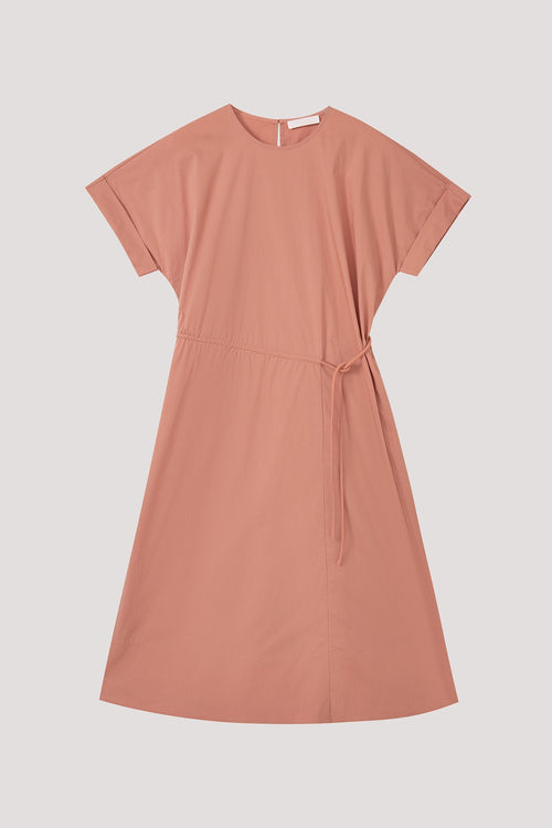 color:SALMON