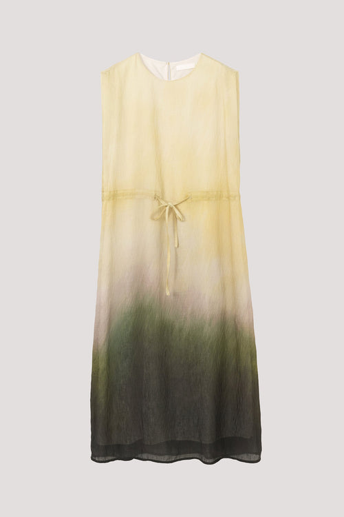 color:OMBRE LIME