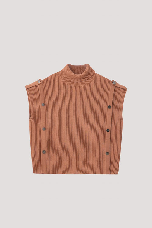 color:SALMON