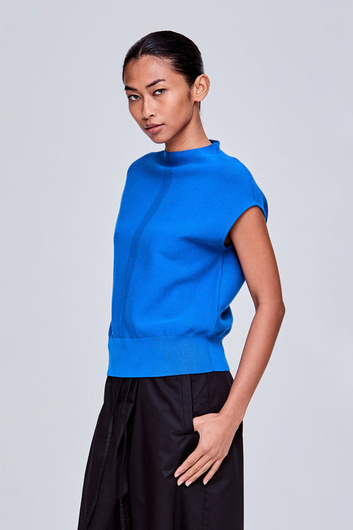 color:COBALT BLUE