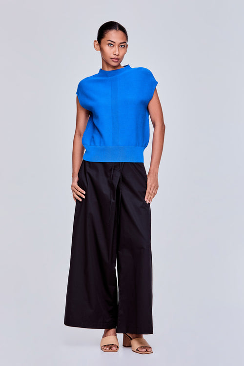 color:COBALT BLUE