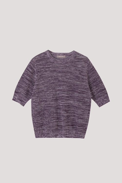 color:EGG PLANT