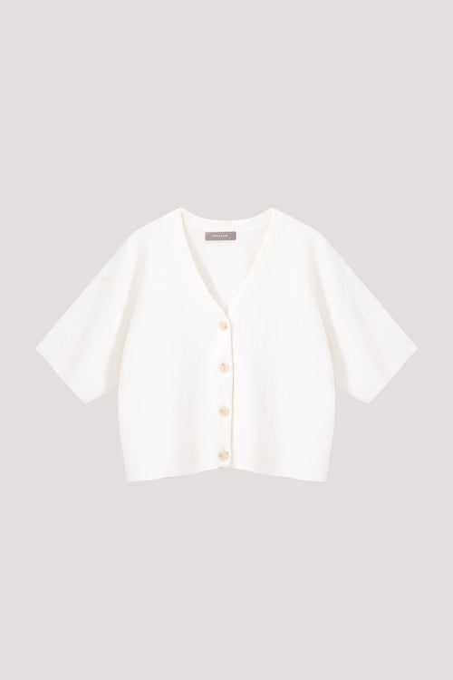 color:IVORY