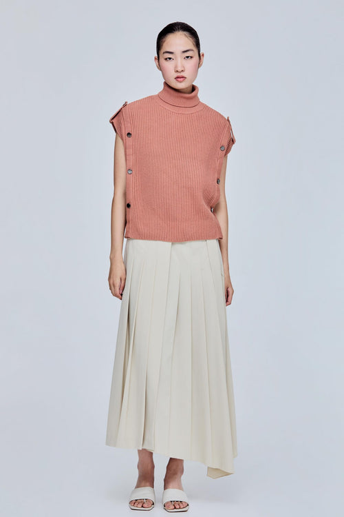 color:SALMON