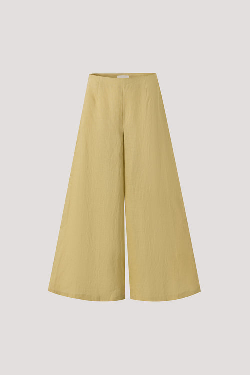 color:LIME 2