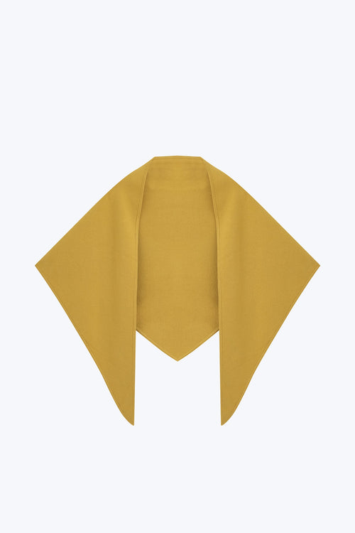 color:LEMON 2