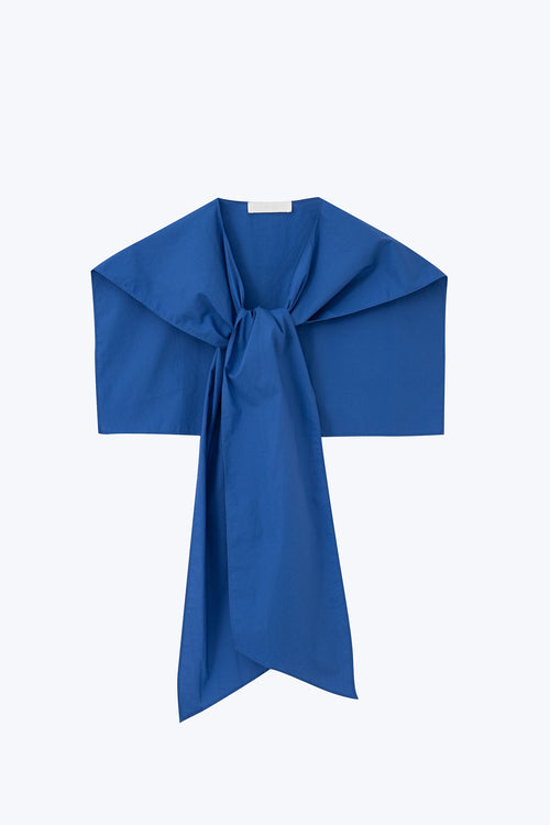 color:COBALT