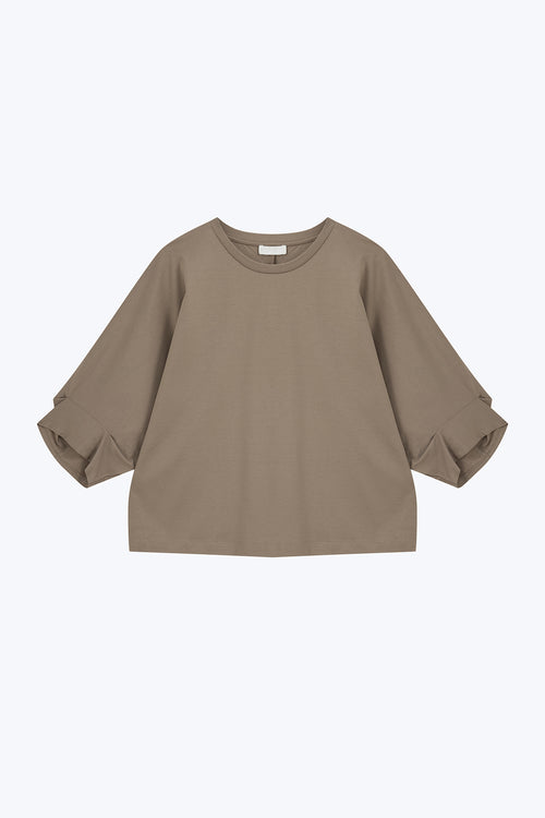 color:COCOA