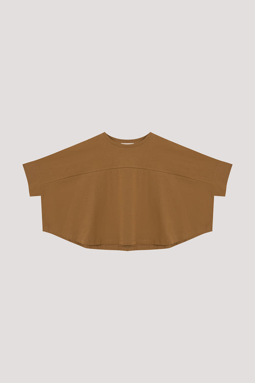 color:DARK OLIVE