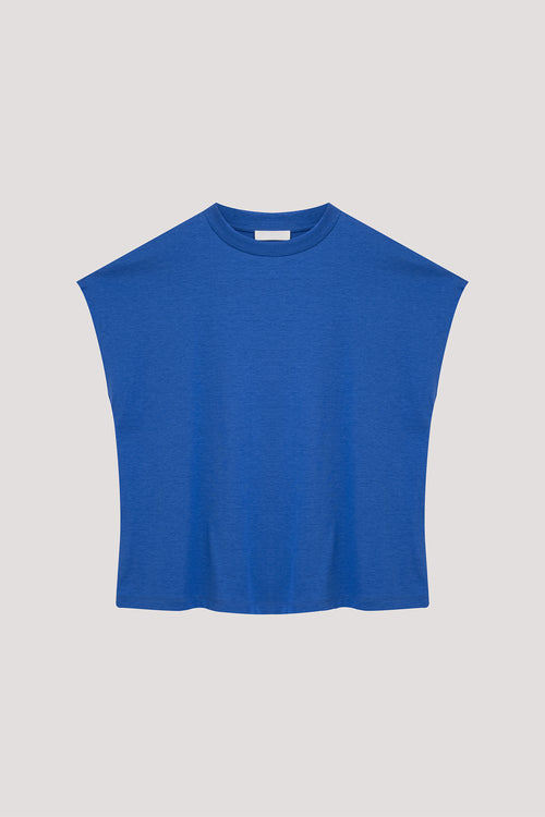 color:COBALT BLUE