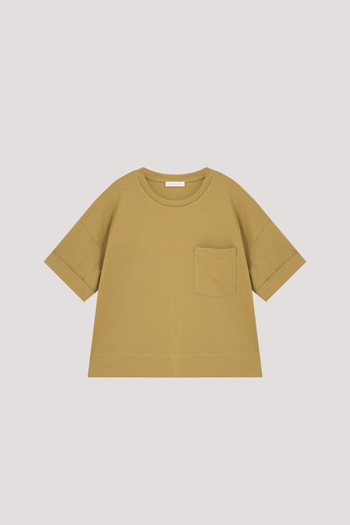 color:AVOCADO