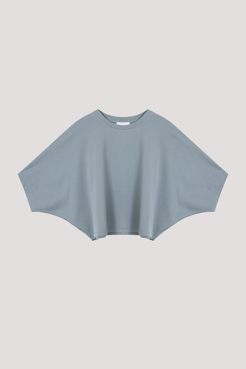 color:DARK AQUA