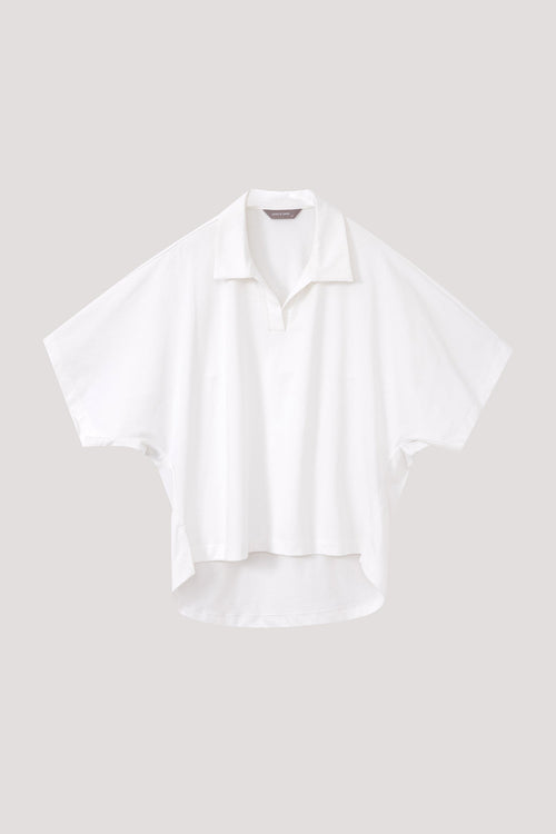 color:IVORY