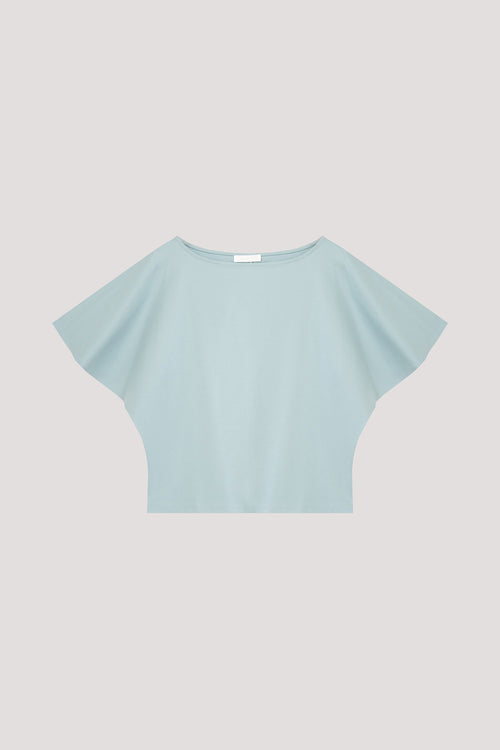 color:AQUA