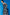 color:BLUE FLORAL