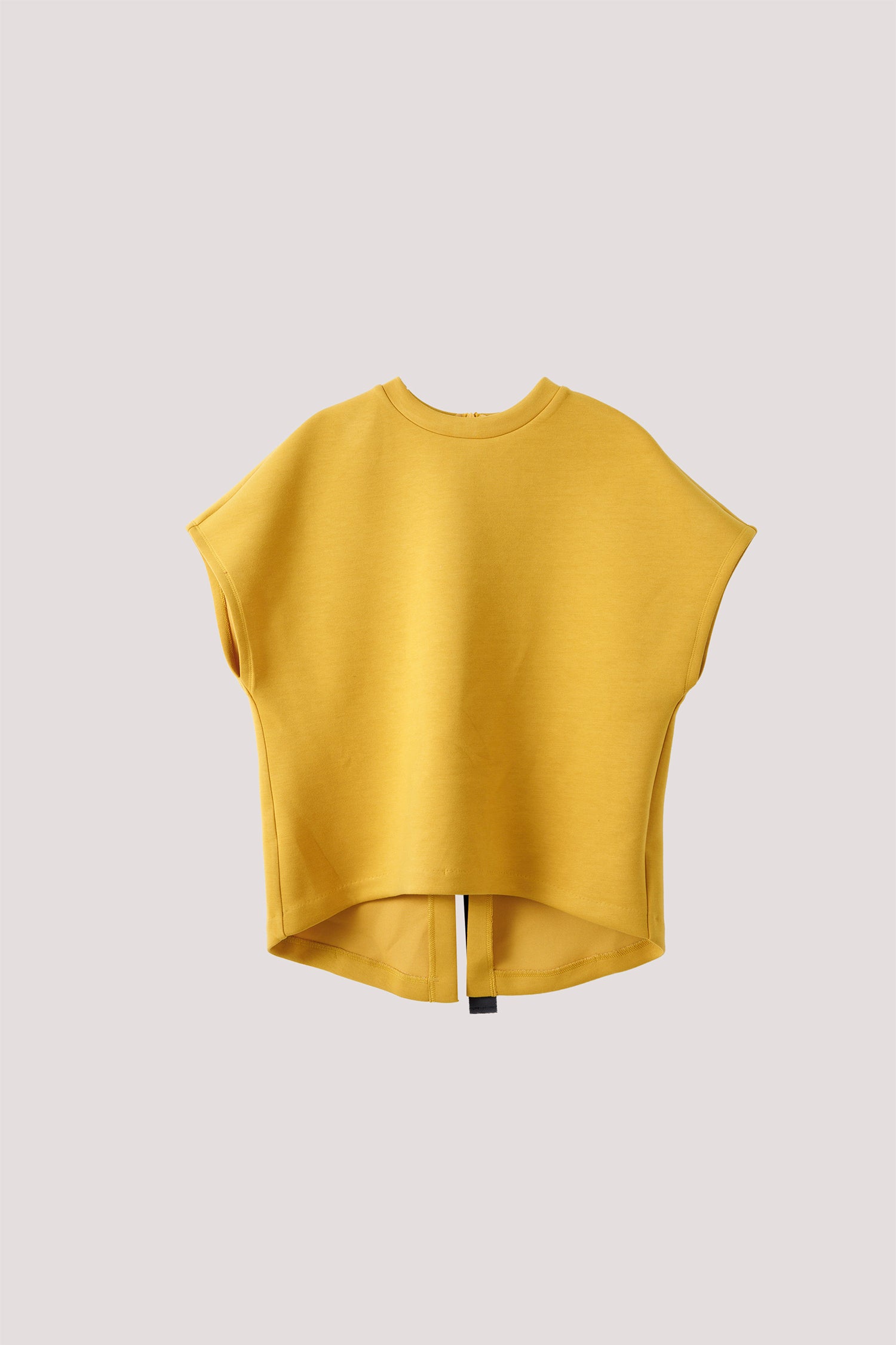 High Collar Top With Back Ribbon